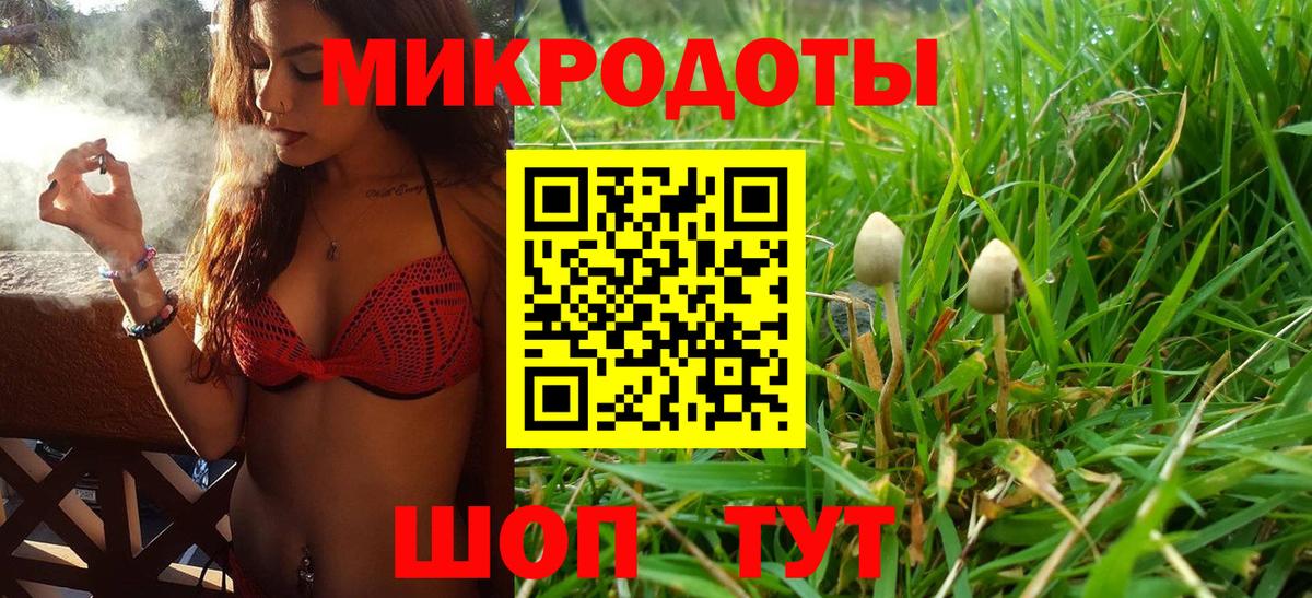 где найти наркотики  Галлюциногенные грибы Psilocybine cubensis  Вход с VPN  Орехово-Зуево 